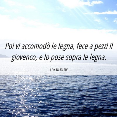 Picture 06 - 1 Re 18:33 RIV - Poi vi accomodò le legna, fece a pezzi il - Bible Verse Picture