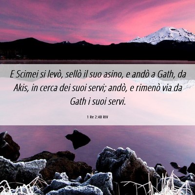 Picture 06 - 1 Re 2:40 RIV - E Scimei si levò, sellò il suo asino, e andò a - Bible Verse Picture