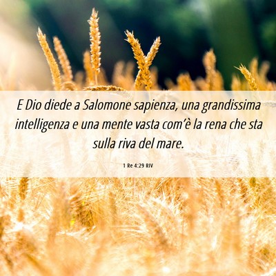Picture 06 - 1 Re 4:29 RIV - E Dio diede a Salomone sapienza, una grandissima - Bible Verse Picture