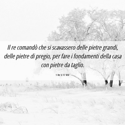 Picture 06 - 1 Re 5:17 RIV - Il re comandò che si scavassero delle pietre - Bible Verse Picture