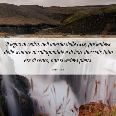 Picture 06 - 1 Re 6:18 RIV - Il legno di cedro, nell’interno della casa, - Bible Verse Picture