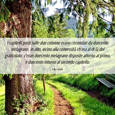 Picture 06 - 1 Re 7:20 RIV - I capitelli posti sulle due colonne erano - Bible Verse Picture