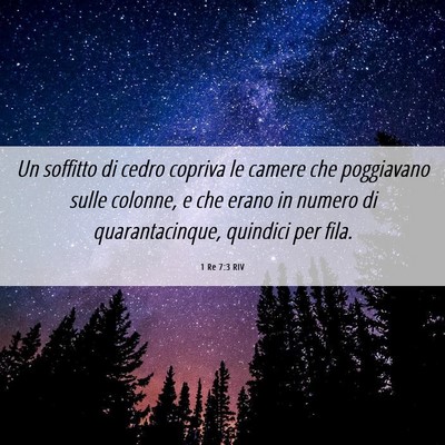 Picture 06 - 1 Re 7:3 RIV - Un soffitto di cedro copriva le camere che - Bible Verse Picture