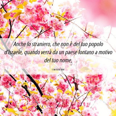 Picture 06 - 1 Re 8:41 RIV - Anche lo straniero, che non è del tuo popolo - Bible Verse Picture