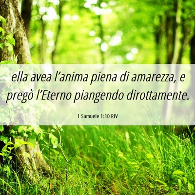 Picture 06 - 1 Samuele 1:10 RIV - ella avea l’anima piena di amarezza, e pregò - Bible Verse Picture