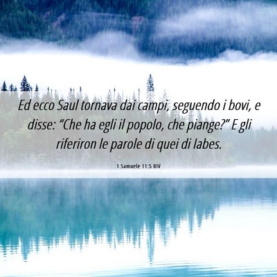 Picture 06 - 1 Samuele 11:5 RIV - Ed ecco Saul tornava dai campi, seguendo i bovi, - Bible Verse Picture