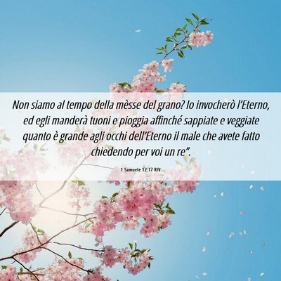 Picture 06 - 1 Samuele 12:17 RIV - Non siamo al tempo della mèsse del grano? Io - Bible Verse Picture