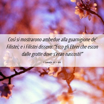 Picture 06 - 1 Samuele 14:11 RIV - Così si mostrarono ambedue alla guarnigione - Bible Verse Picture