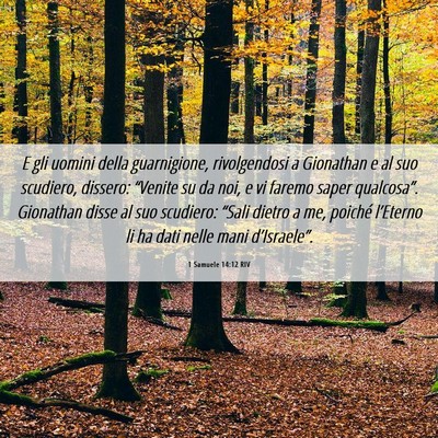 Picture 06 - 1 Samuele 14:12 RIV - E gli uomini della guarnigione, rivolgendosi a - Bible Verse Picture