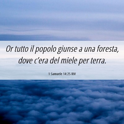 Picture 06 - 1 Samuele 14:25 RIV - Or tutto il popolo giunse a una foresta, dove - Bible Verse Picture