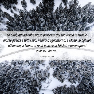 Picture 06 - 1 Samuele 14:47 RIV - Or Saul, quand’ebbe preso possesso del suo - Bible Verse Picture