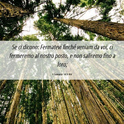 Picture 06 - 1 Samuele 14:9 RIV - Se ci dicono: Fermatevi finché veniam da voi, ci - Bible Verse Picture