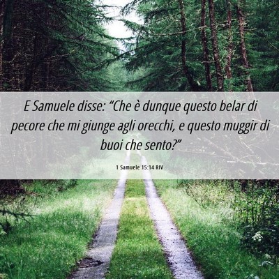 Picture 06 - 1 Samuele 15:14 RIV - E Samuele disse: “Che è dunque questo belar di - Bible Verse Picture