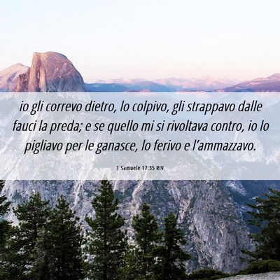 Picture 06 - 1 Samuele 17:35 RIV - io gli correvo dietro, lo colpivo, gli strappavo - Bible Verse Picture