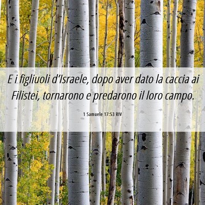 Picture 06 - 1 Samuele 17:53 RIV - E i figliuoli d’Israele, dopo aver dato la - Bible Verse Picture