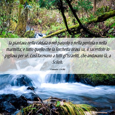 Picture 06 - 1 Samuele 2:14 RIV - la piantava nella caldaia o nel paiuolo o nella - Bible Verse Picture