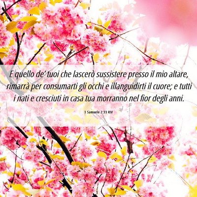 Picture 06 - 1 Samuele 2:33 RIV - E quello de’ tuoi che lascerò sussistere - Bible Verse Picture