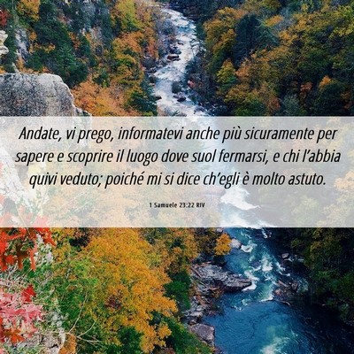Picture 06 - 1 Samuele 23:22 RIV - Andate, vi prego, informatevi anche più - Bible Verse Picture