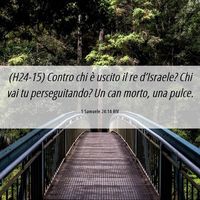 Picture 06 - 1 Samuele 24:14 RIV - (H24-15) Contro chi è uscito il re d’Israele? - Bible Verse Picture