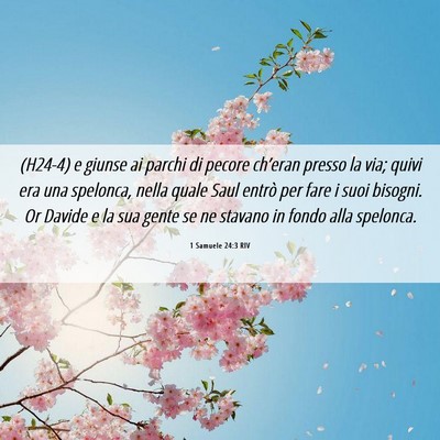 Picture 06 - 1 Samuele 24:3 RIV - (H24-4) e giunse ai parchi di pecore ch’eran - Bible Verse Picture