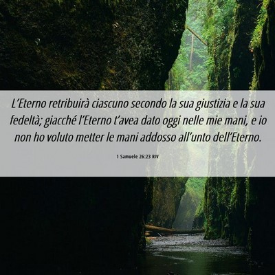 Picture 06 - 1 Samuele 26:23 RIV - L’Eterno retribuirà ciascuno secondo la sua - Bible Verse Picture