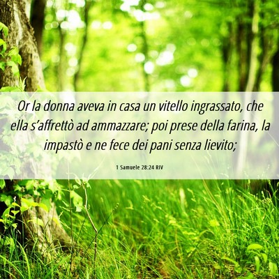Picture 06 - 1 Samuele 28:24 RIV - Or la donna aveva in casa un vitello ingrassato, - Bible Verse Picture