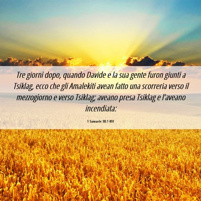 Picture 06 - 1 Samuele 30:1 RIV - Tre giorni dopo, quando Davide e la sua gente - Bible Verse Picture