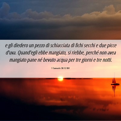 Picture 06 - 1 Samuele 30:12 RIV - e gli diedero un pezzo di schiacciata di fichi - Bible Verse Picture