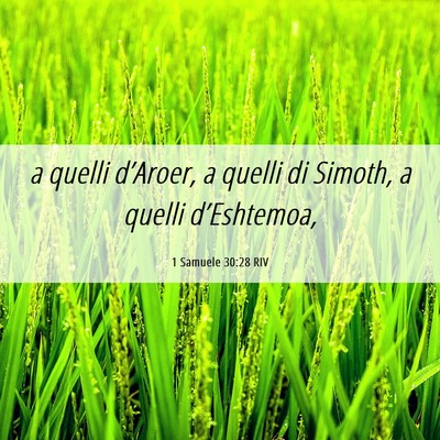 Picture 06 - 1 Samuele 30:28 RIV - a quelli d’Aroer, a quelli di Simoth, a quelli - Bible Verse Picture