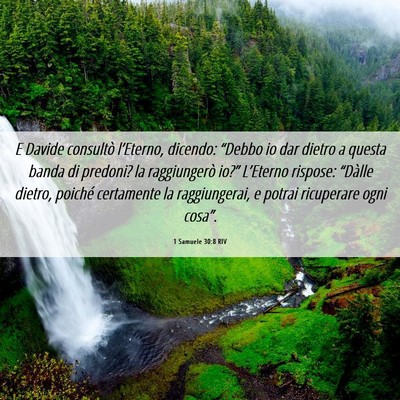Picture 06 - 1 Samuele 30:8 RIV - E Davide consultò l’Eterno, dicendo: “Debbo - Bible Verse Picture