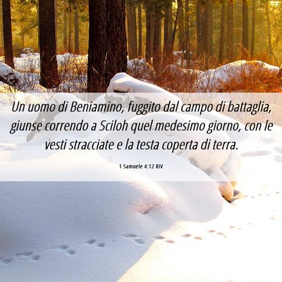 Picture 06 - 1 Samuele 4:12 RIV - Un uomo di Beniamino, fuggito dal campo di - Bible Verse Picture