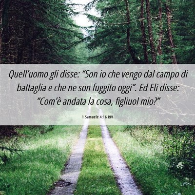 Picture 06 - 1 Samuele 4:16 RIV - Quell’uomo gli disse: “Son io che vengo dal - Bible Verse Picture