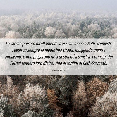 Picture 06 - 1 Samuele 6:12 RIV - Le vacche presero direttamente la via che mena a - Bible Verse Picture