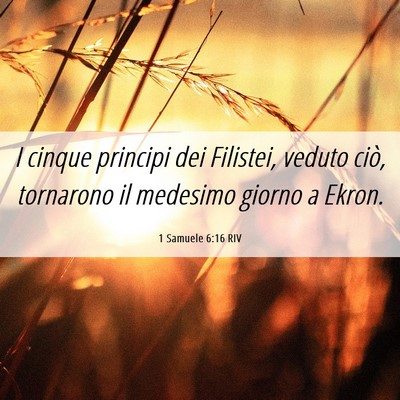Picture 06 - 1 Samuele 6:16 RIV - I cinque principi dei Filistei, veduto ciò, - Bible Verse Picture