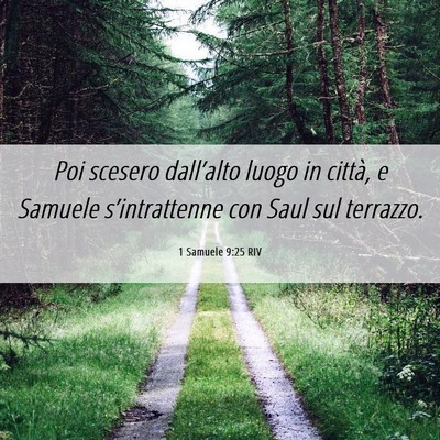 Picture 06 - 1 Samuele 9:25 RIV - Poi scesero dall’alto luogo in città, e - Bible Verse Picture