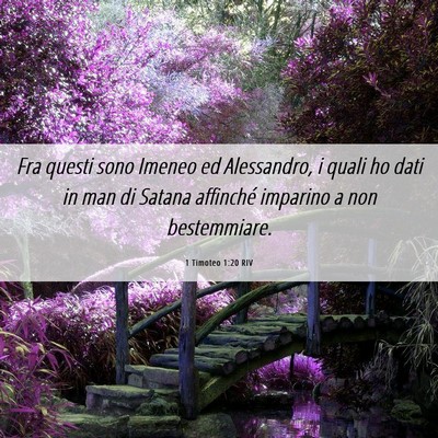 Picture 06 - 1 Timoteo 1:20 RIV - Fra questi sono Imeneo ed Alessandro, i quali ho - Bible Verse Picture