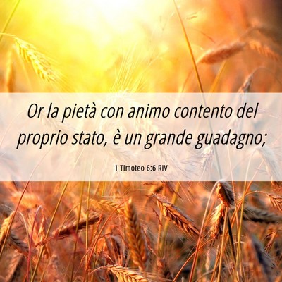 Picture 06 - 1 Timoteo 6:6 RIV - Or la pietà con animo contento del proprio - Bible Verse Picture