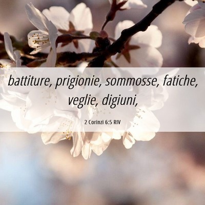 Picture 06 - 2 Corinzi 6:5 RIV - battiture, prigionie, sommosse, fatiche, veglie, - Bible Verse Picture