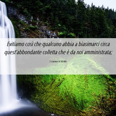 Picture 06 - 2 Corinzi 8:20 RIV - Evitiamo così che qualcuno abbia a biasimarci - Bible Verse Picture