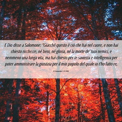 Picture 06 - 2 Cronache 1:11 RIV - E Dio disse a Salomone: “Giacché questo è - Bible Verse Picture