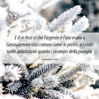 Picture 06 - 2 Cronache 1:15 RIV - E il re fece sì che l’argento e l’oro erano - Bible Verse Picture