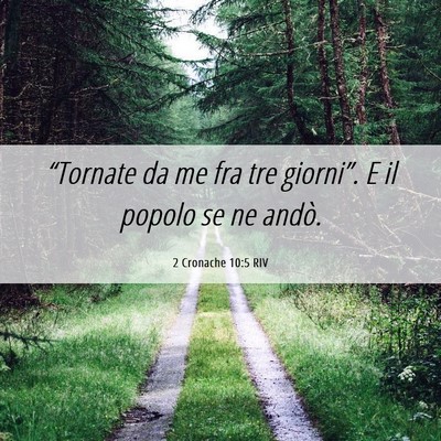 Picture 06 - 2 Cronache 10:5 RIV - “Tornate da me fra tre giorni”. E il popolo - Bible Verse Picture