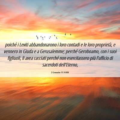 Picture 06 - 2 Cronache 11:14 RIV - poiché i Leviti abbandonarono i loro contadi e - Bible Verse Picture
