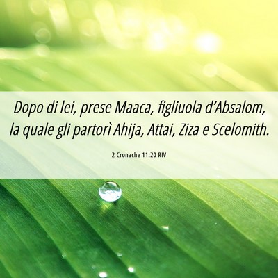 Picture 06 - 2 Cronache 11:20 RIV - Dopo di lei, prese Maaca, figliuola d’Absalom, - Bible Verse Picture