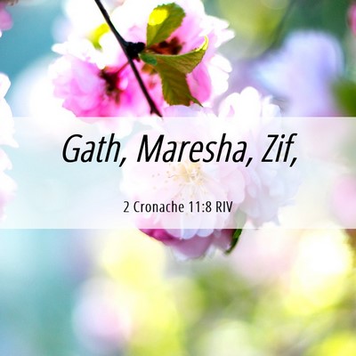 Picture 06 - 2 Cronache 11:8 RIV - Gath, Maresha, - Bible Verse Picture