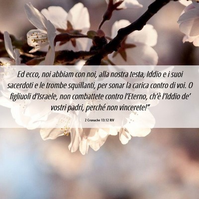 Picture 06 - 2 Cronache 13:12 RIV - Ed ecco, noi abbiam con noi, alla nostra testa, - Bible Verse Picture