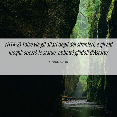 Picture 06 - 2 Cronache 14:3 RIV - (H14-2) Tolse via gli altari degli dèi - Bible Verse Picture