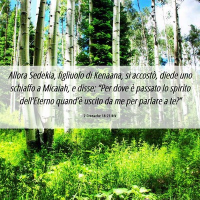 Picture 06 - 2 Cronache 18:23 RIV - Allora Sedekia, figliuolo di Kenaana, si - Bible Verse Picture