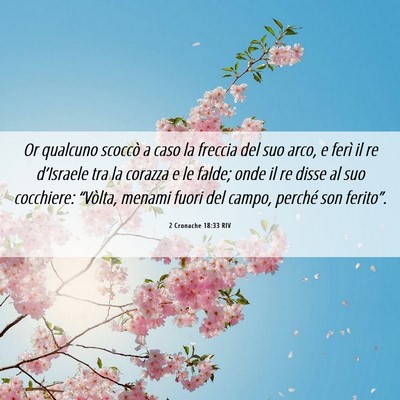 Picture 06 - 2 Cronache 18:33 RIV - Or qualcuno scoccò a caso la freccia del suo - Bible Verse Picture