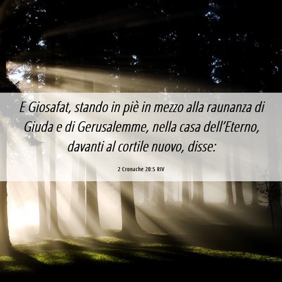 Picture 06 - 2 Cronache 20:5 RIV - E Giosafat, stando in piè in mezzo alla raunanza - Bible Verse Picture